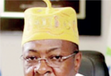 Flexibility in Fixing Travel Businesses Amid Challenges olarin-Coker