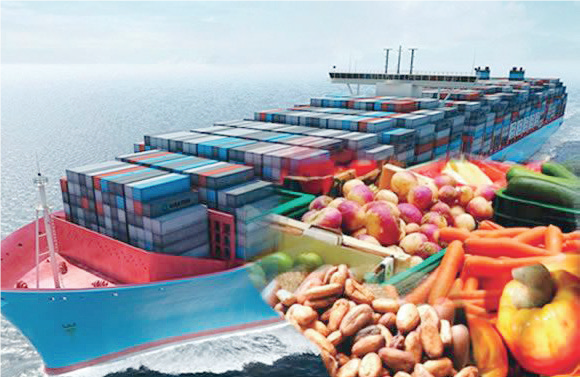 Food Export Food Export