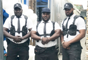 Private Security Service: Professionals who venture into this sector will help to boost capacity.