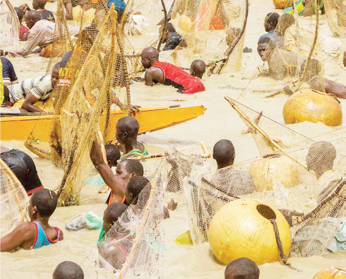 Agungu Festival