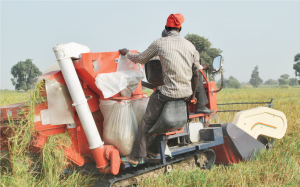 Mechanized Agriculture: This will boost food production, especially in partnership with the state government. Hotel & Guest House: Investment in well-developed hotels and guest houses is strategic. Private Security Service: Professionals who venture into this sector will help to boost capacity. Tomato Processing: In Kebbi State part of Nigeria’s food basket.