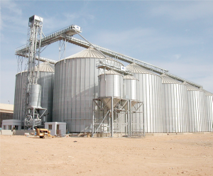Silos: Commodity preservation is necessary for sustained food and raw material supply. - THEWILL NEWS MEDIA Silos: Commodity preservation is necessary for sustained food and raw material supply.