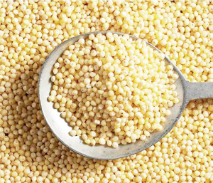 Rice Production: Leveraging the Federal Government’s Anchor Borrowers Scheme is an incentive for rice cultivation. - THEWILL NEWS MEDIA Rice Production: Leveraging the Federal Government’s Anchor Borrowers Scheme is an incentive for rice cultivation.