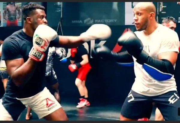 Francis Ngannou And Ciryl Gane Francis Ngannou And Ciryl Gane