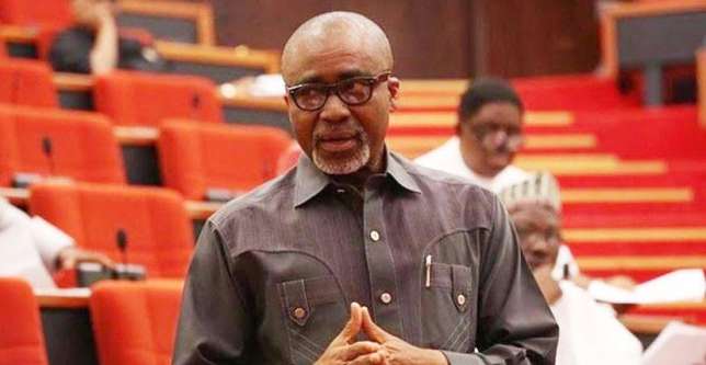 The Senate Minority Leader, Eyinnaya Abaribe