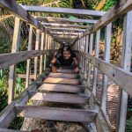 Lekki Conservation Centre: Knotting Tourism and Environment Lekki conservation center