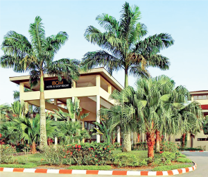 ak4 - THEWILL NEWS MEDIA Hotel & Guest House