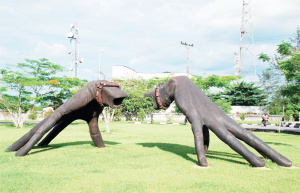 Faces of culture/ Cross river