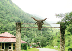 Faces of culture/ Cross river