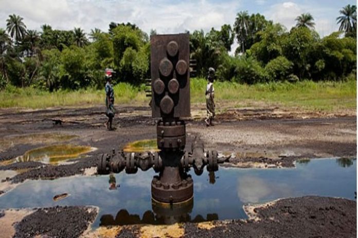 Oil leaks Oil leaks