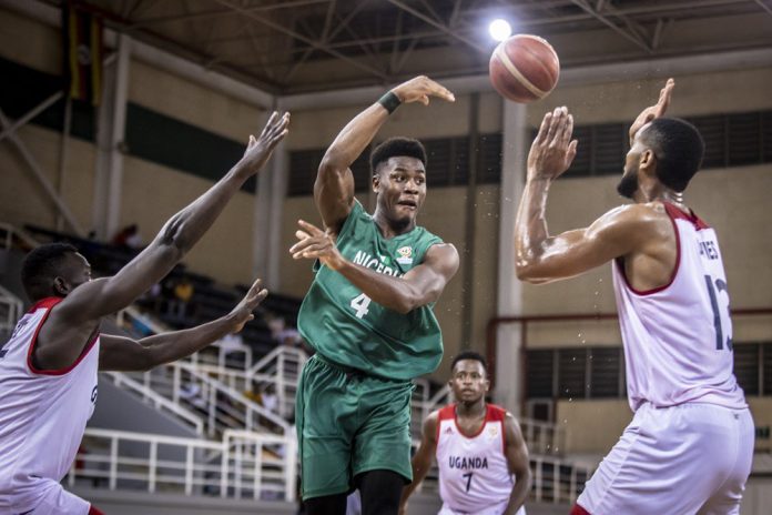 D'Tigers D'Tigers