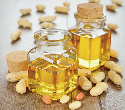 Groundnut oil Extraction