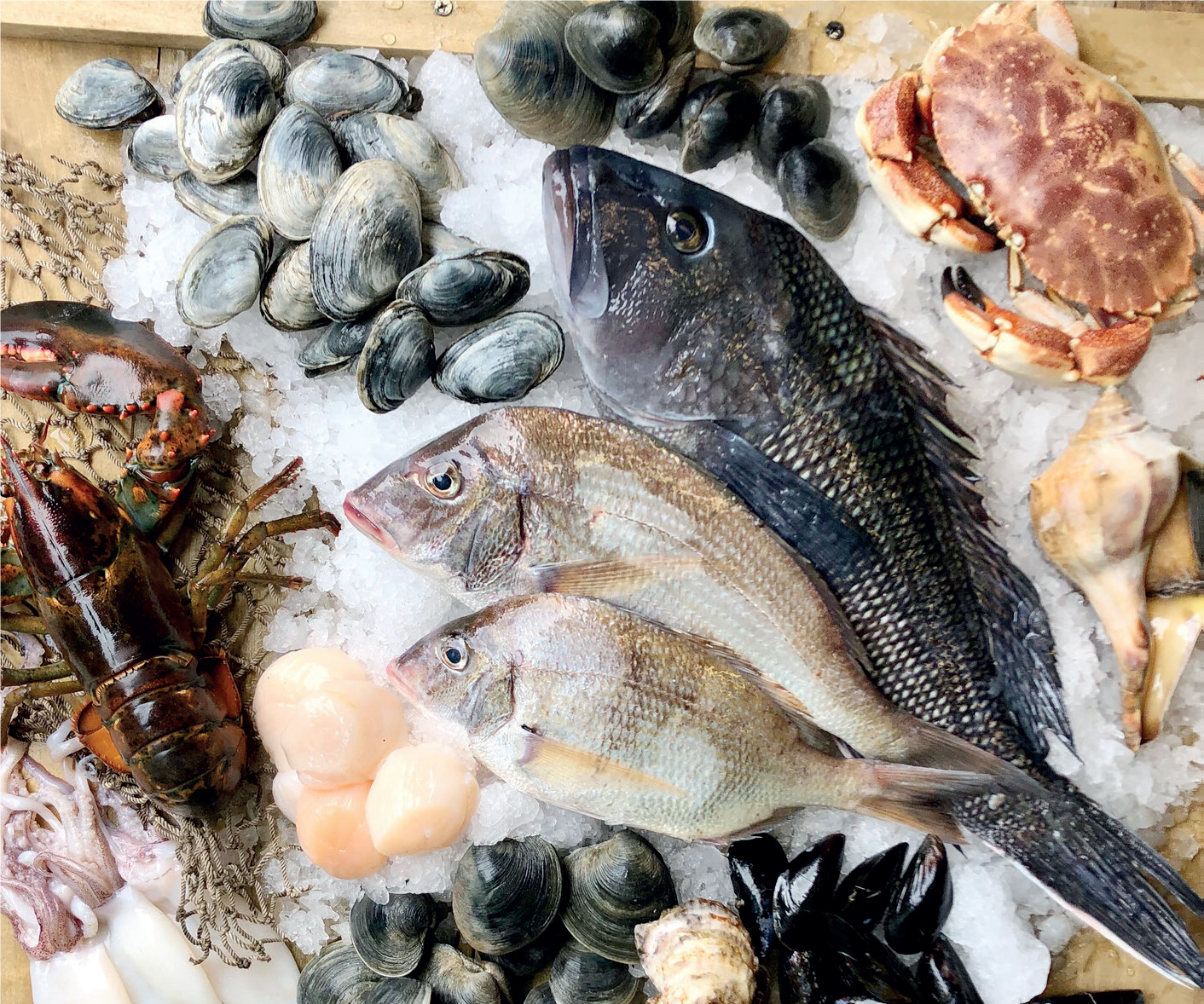 Sea food processing
