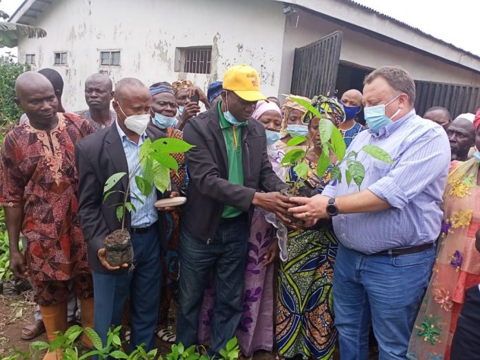 Ogun Distributes 100,000 Cocoa Seedlings To Farmers