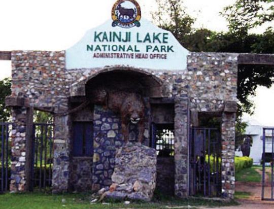 kainji1