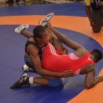 Firm To Host Traditional Wrestling Contest in Bayelsa Wrestling contest