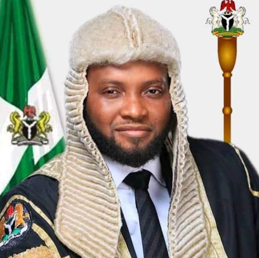 Amarachi Iwuanyanwu Amarachi Iwuanyanwu