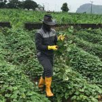 Ogun Tasks Farmers On Preservation Of Farm Produce Farm