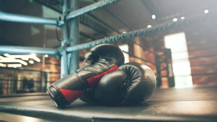 boxing glovesss