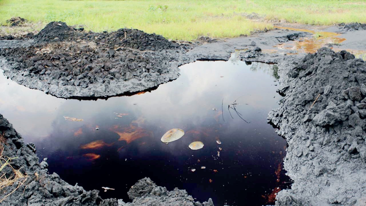 oil spill