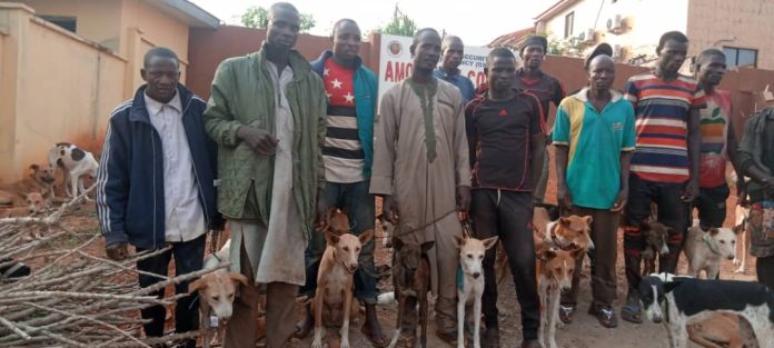Amotekun Arrests 17 Men With 35 Dogs