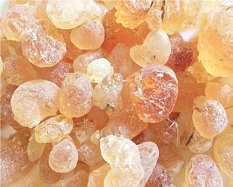 Gum Arabic Production