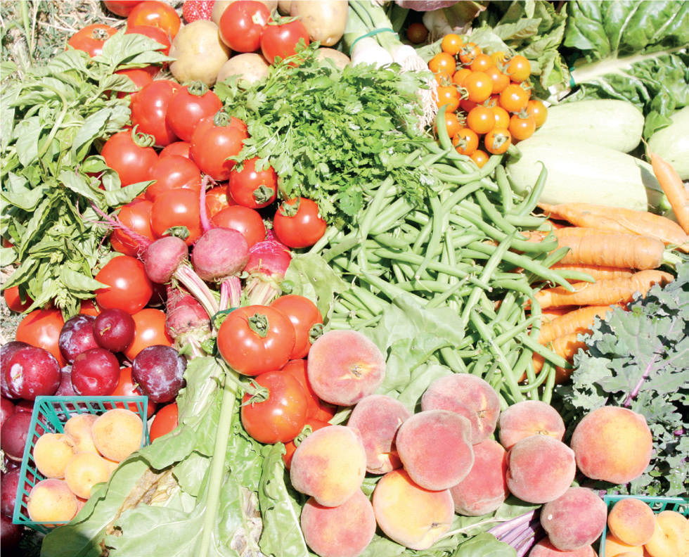 Vegetable Farming and Processing