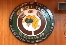 THEWILL EDITORIAL: Time for ECOWAS to Wake Up ECOWAS-court