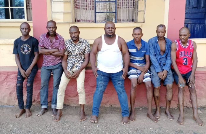 The suspects
