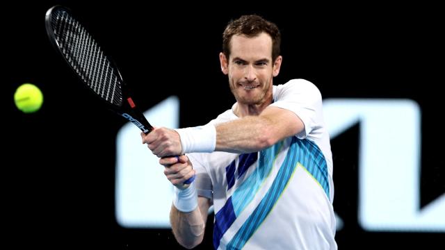 Murray Murray