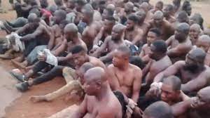 Arrested thugs - THEWILL NEWS MEDIA Arrested thugs