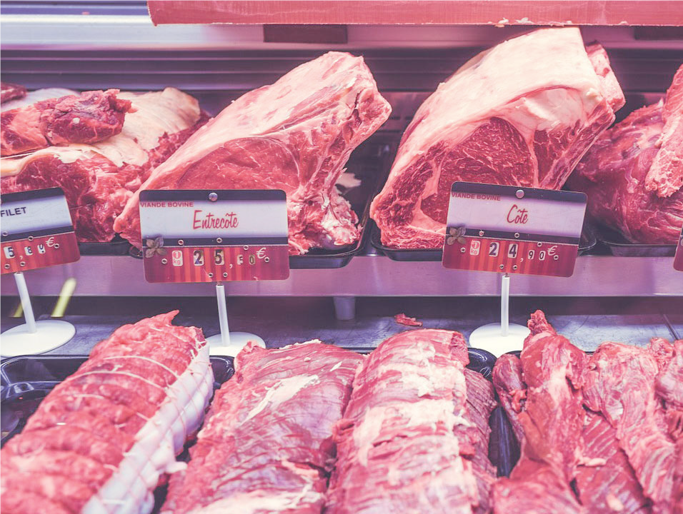 Cattle Ranch and Meat Processing