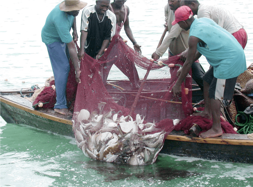 Fishing and Water Transport - THEWILL NEWS MEDIA Fishing and Water Transport