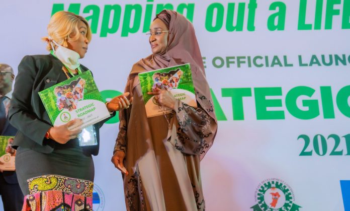 FG Launches Five-Year Strategic Roadmap For Humanitarian Intervention (3)