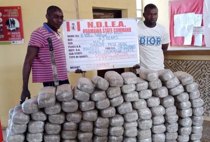 NDLEA NDLEA Intercepts Fake $4.7m Cash In Abuja