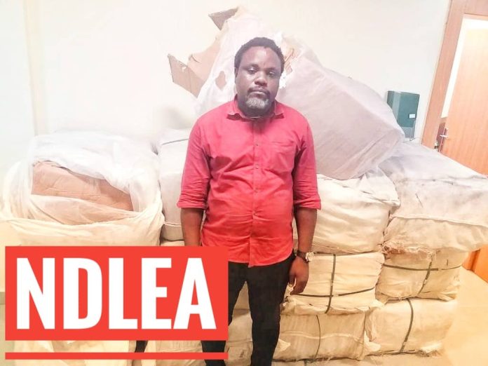 NDLEA Nabs NDLEA Nabs