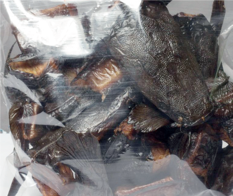 Fish Packaging - THEWILL NEWS MEDIA Fish Packaging