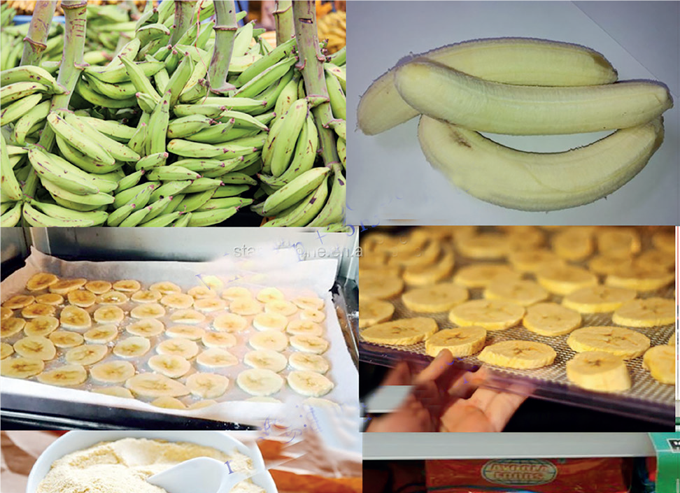 Food Processing