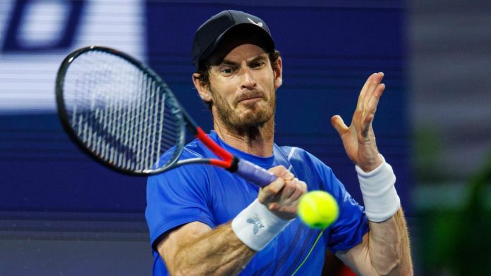 Andy murray Andy murray