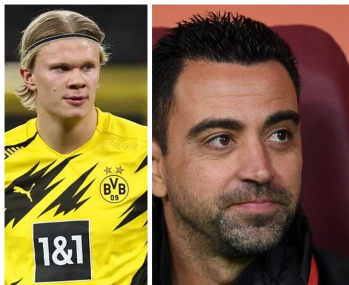 Haaland, Xavi Haaland, Xavi