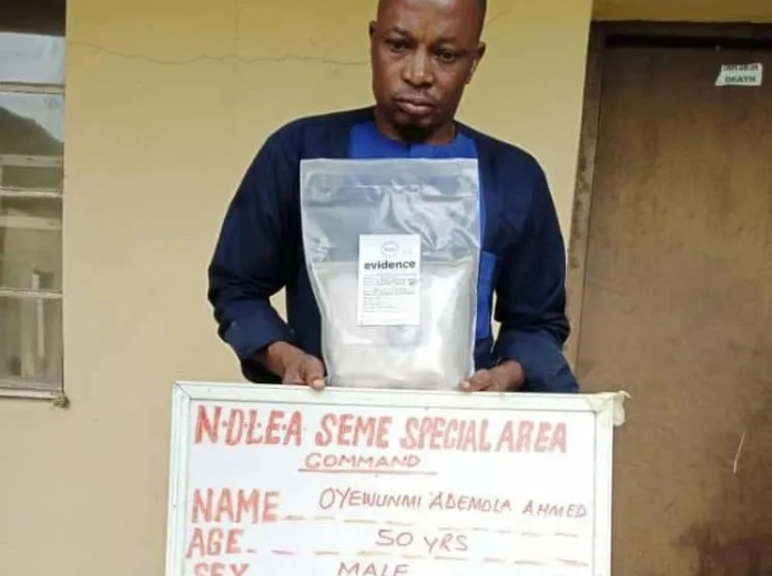 ndlea ndlea