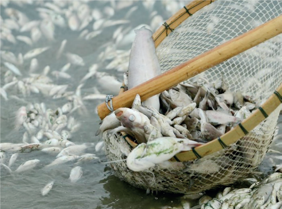 Fishing - THEWILL NEWS MEDIA Fishing