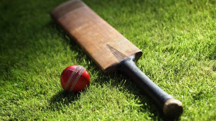 cricket Cricket