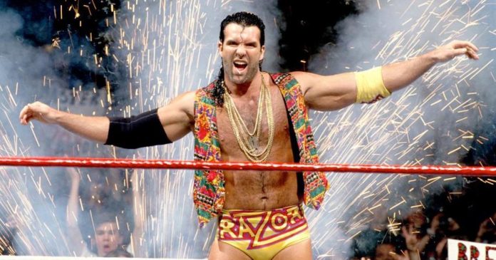 ‘Razor Ramon’ ‘Razor Ramon’