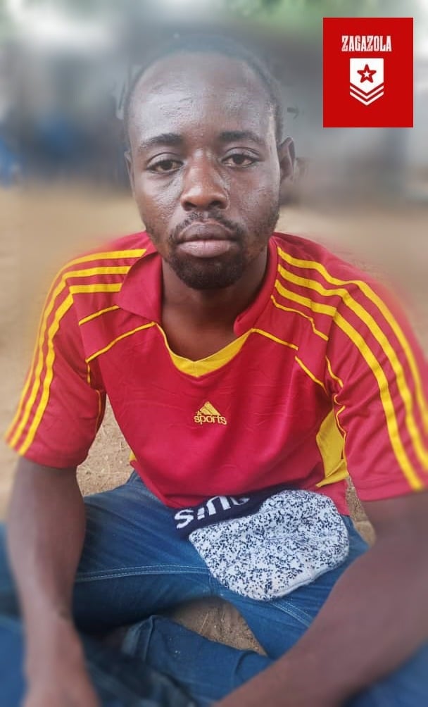 Modu Babagana - THEWILL NEWS MEDIA