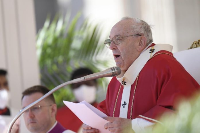 Pope Francis Pope Francis