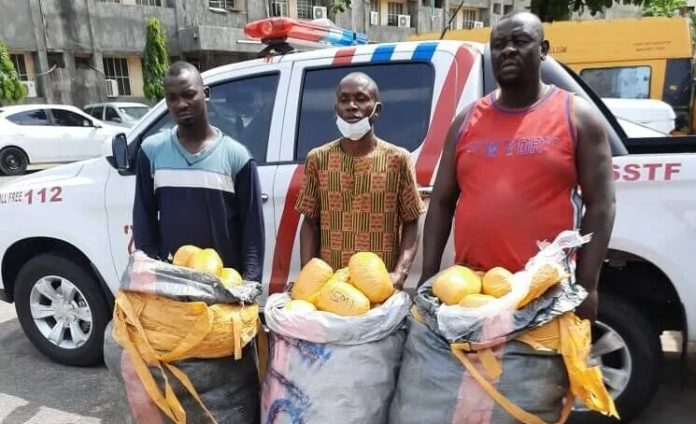 arrested ndlea arrested ndlea