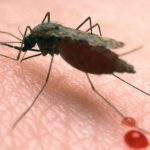 Benue Population At Risk Of Malaria Infection – CommissionerÂ