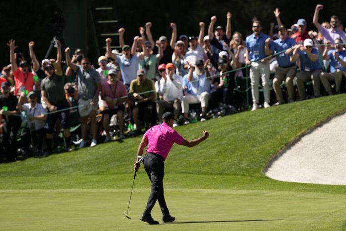 Tiger woods