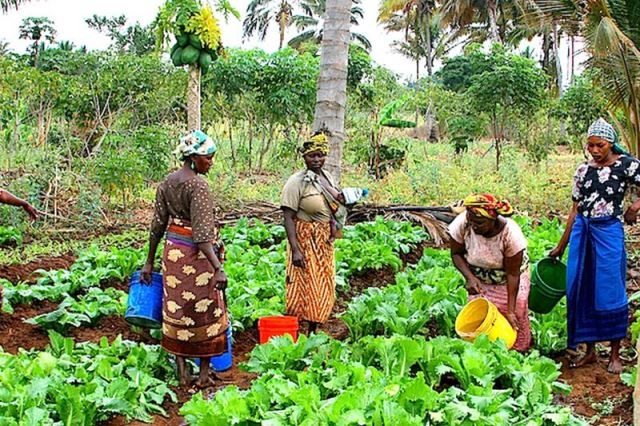 Farmers